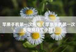 苹果手机第一次充电（苹果手机第一次充电充几个小时）