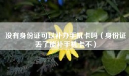 没有身份证可以补办手机卡吗（身份证丢了能补手机卡不）