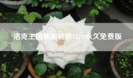 洛克王国暴雨辅助V37.9永久免费版