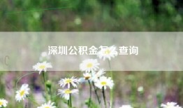 深圳公积金怎么查询