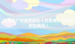 百度推广引流性价比（百度推广引流性价比高吗）