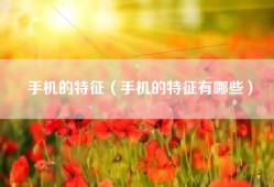 手机的特征（手机的特征有哪些）