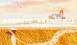 手机震动的声音（手机震动的声音是多少分贝）