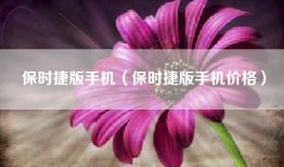 保时捷版手机（保时捷版手机价格）