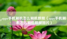 oppo手机刷机怎么刷机教程（oppo手机刷机怎么刷机教程图片）