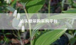 汕头爱采购采购平台