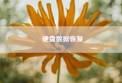 硬盘数据恢复