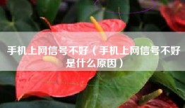 手机上网信号不好（手机上网信号不好是什么原因）