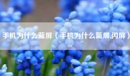 手机为什么蓝屏（手机为什么蓝屏,闪屏）