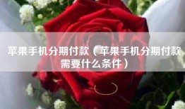 苹果手机分期付款（苹果手机分期付款需要什么条件）