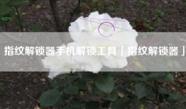 指纹解锁器手机解锁工具「指纹解锁器」