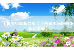 手机看电脑版网页（手机看电脑版网页怎么全屏）