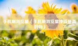 手机刷浏览量（手机刷浏览量挣钱是真的吗）