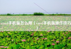 excel手机版怎么用（excel手机版操作技巧）