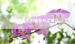 穿进总受文的炮灰和正牌攻1v1了