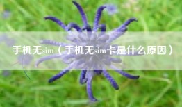 手机无sim（手机无sim卡是什么原因）