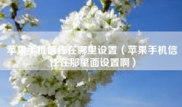 苹果手机信任在哪里设置（苹果手机信任在那里面设置啊）