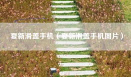 夏新滑盖手机（夏新滑盖手机图片）