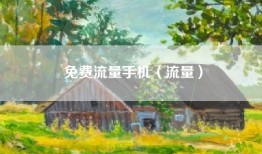 免费流量手机（流量）