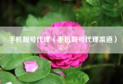 手机靓号代理（手机靓号代理渠道）