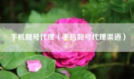 手机靓号代理（手机靓号代理渠道）