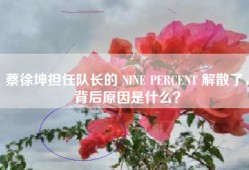 蔡徐坤担任队长的 NINE PERCENT 解散了，背后原因是什么？