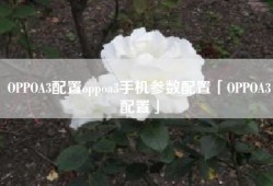 OPPOA3配置oppoa3手机参数配置「OPPOA3配置」
