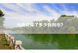 马斯克买了多少狗狗币？