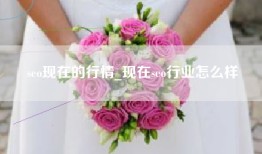 seo现在的行情_现在seo行业怎么样
