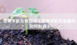 苹果手机充电震动（苹果手机充电震动如何取消）