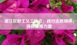 濠江区职工义工协会：践行志愿精神，铸就温暖力量