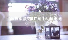 百度搜索留痕推广是什么[度小视]