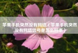 苹果手机突然没有网络（苹果手机突然没有网络信号是怎么回事）