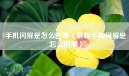 手机闪屏是怎么回事（荣耀手机闪屏是怎么回事）