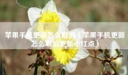 苹果手机更新怎么取消（苹果手机更新怎么取消更新小红点）