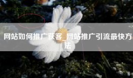 网站如何推广获客_网站推广引流最快方法
