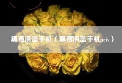 黑莓滑盖手机（黑莓滑盖手机priv）