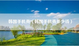 韩国手机壳（韩国手机壳多少钱）