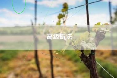 高级玩法