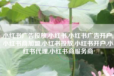 小红书广告投放,小红书,小红书广告开户,小红书商加盟,小红书投放,小红书开户,小红书代理,小红书商服务商