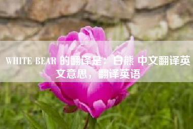 WHITE BEAR 的翻译是：白熊 中文翻译英文意思，翻译英语