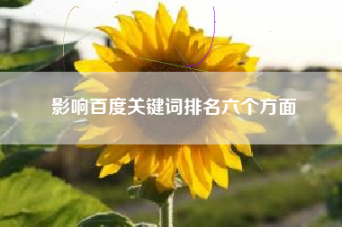 影响百度关键词排名六个方面