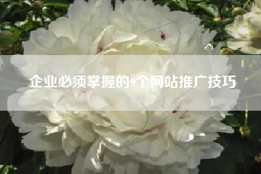 企业必须掌握的9个网站推广技巧