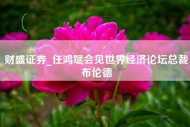 财盛证券_任鸿斌会见世界经济论坛总裁布伦德
