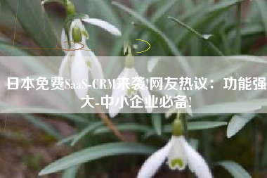 日本免费SaaS-CRM来袭!网友热议：功能强大-中小企业必备!