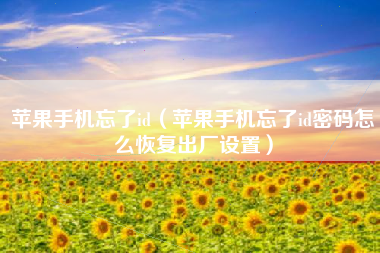 苹果手机忘了id（苹果手机忘了id密码怎么恢复出厂设置）