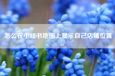 怎么在小红书地图上显示自己店铺位置 怎么在小红书地图上显示自己店铺位置
