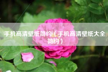 手机高清壁纸简约（手机高清壁纸大全简约）