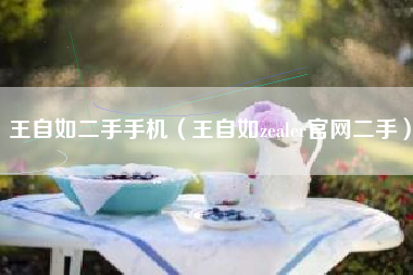 王自如二手手机（王自如zealer官网二手）
