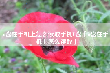 u盘在手机上怎么读取手机U盘「u盘在手机上怎么读取」